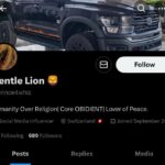 The Yorubas Keep Damaging Nigeria’s Image –  Gentle Lion(Prince4whiz)