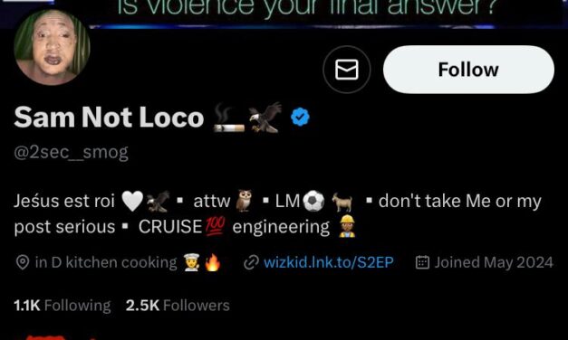 People Who Do Not Regularly Post On Their WhatsApp Status Are Broke – 2sec Smog