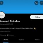 It’s Not Too Late To Start Internet Fraud – Diamondabi73432
