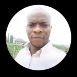 Nigeria Can Not Be Saved – Henitua