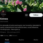 The Yorubas Trademarks Are Betrayal. Racism & Bigotry – Ezinwa40