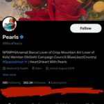 Nigeria Is A Finished State – MissPearls