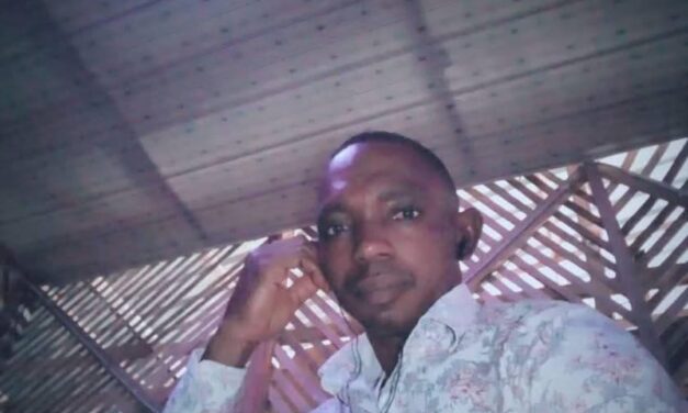 Nigeria Is A Zoo With Animals Identified As Nigerians – Chuks Ka Dibia