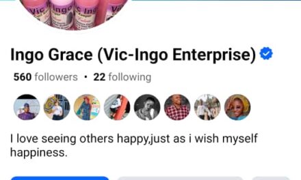 Dangote Truck Drivers Are Hired Killers – Ingo Grace