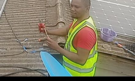 The House Help Urinating In A Plate In The Kitchen Is Not Wickedness – Whitfield_uche