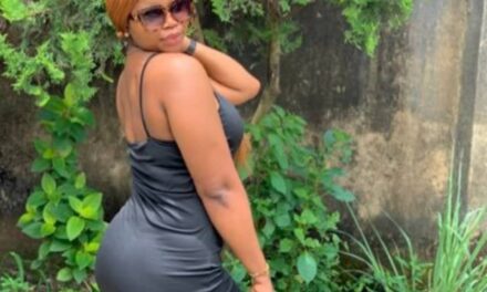 Nigeria Is A Failed Country That Should Be Colonized Again – lilyjoelily
