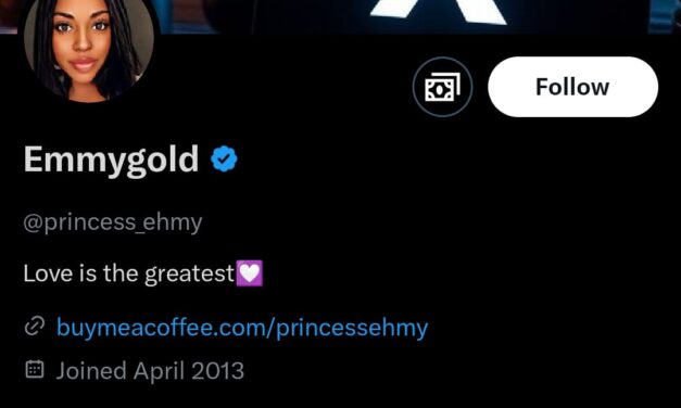 People Who Employ House Helps Should Accept Whatever The House Helps Do To Them – princess_ehmy