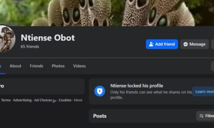 I Want To Mock An Ethnic Group – Ntiense Obot