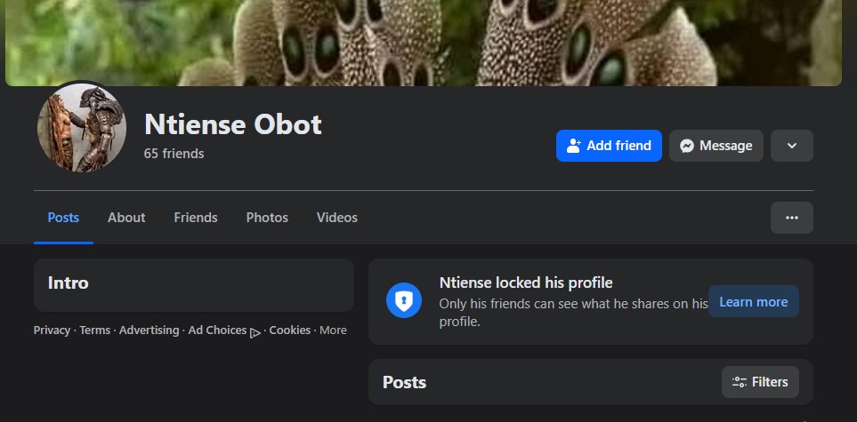 I Want To Mock An Ethnic Group – Ntiense Obot