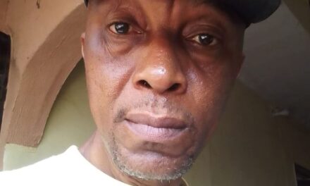 Igbos Are The Number One Suspect In Kidnapping Case – Nweke Jide