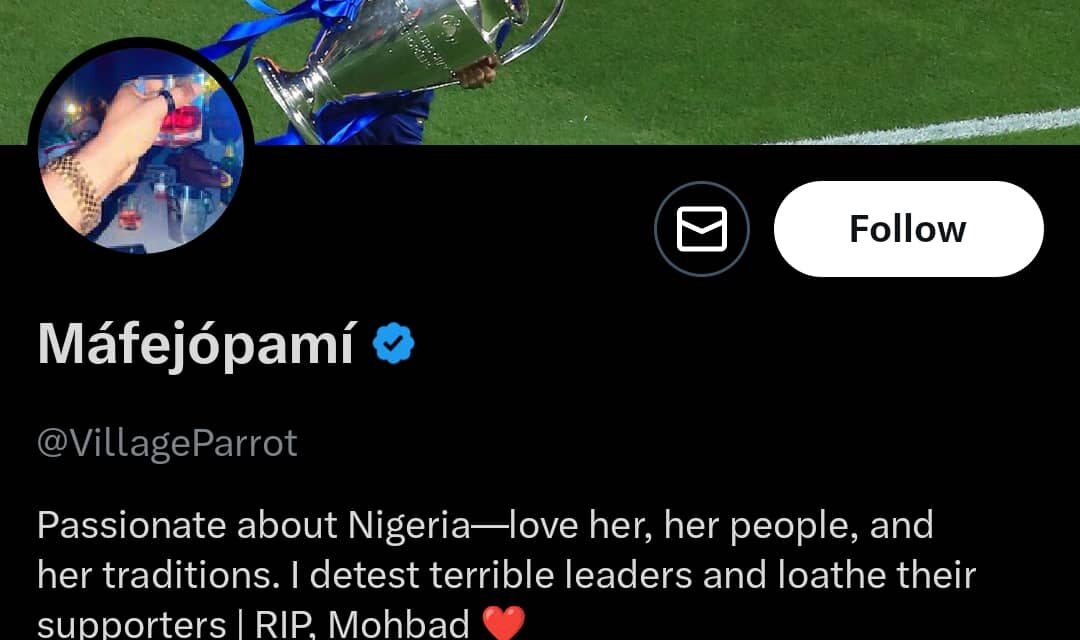 We Nigerians Are Retarded- VillageParrot