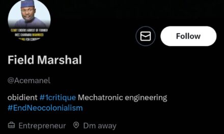 The Yoruba People are More Foolish Beyond My Comprehension – Acemanuel