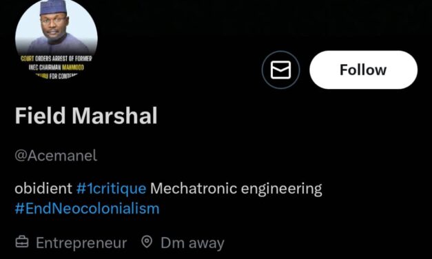 The Yoruba People are More Foolish Beyond My Comprehension – Acemanuel