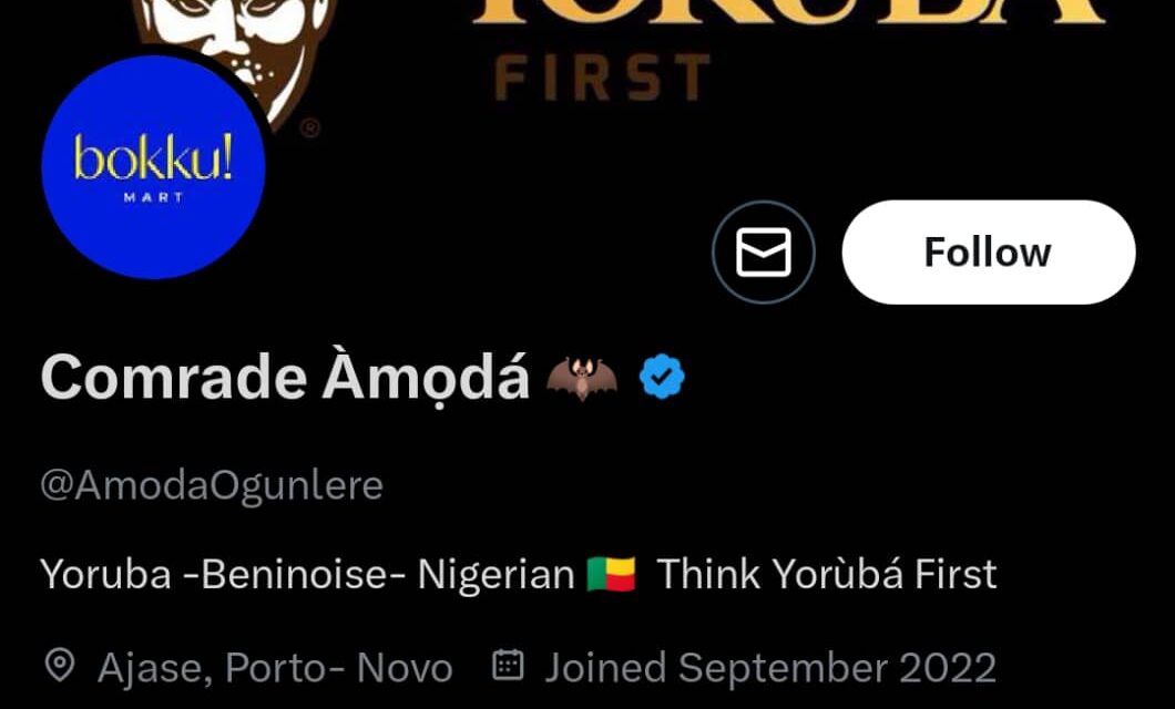 The Igbo People Are The First To Come To Mind When A Criminal Is Mentioned – AmodaOgunlere