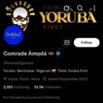 The Igbo People Are The First To Come To Mind When A Criminal Is Mentioned – AmodaOgunlere