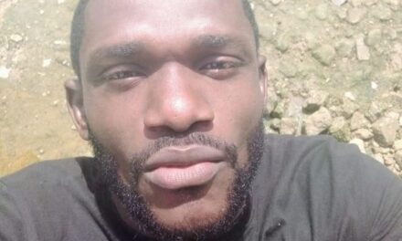 2face can find Love After Many Children But Not Annie – Celesitine Jide