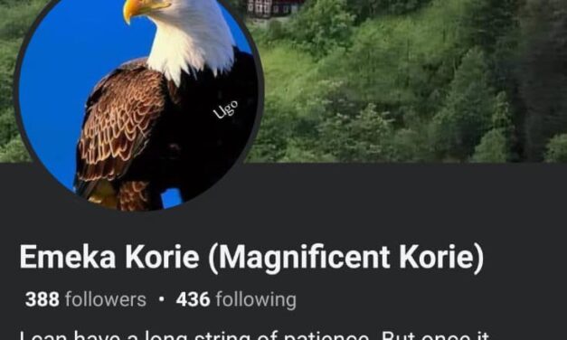 A Man Who Caters For A Single Mother Only Wants Sex From Her – Emeka Korie