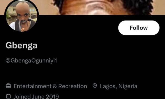 Ibos Are Known For Their Different Patterns Of Criminality – GbengaOgunniyi1