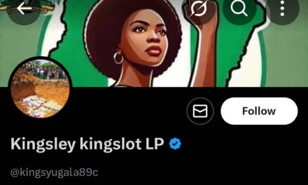 Selling of Fake Consumable Products Should Not Bother Us Nigerians – Kingsyugaka89c