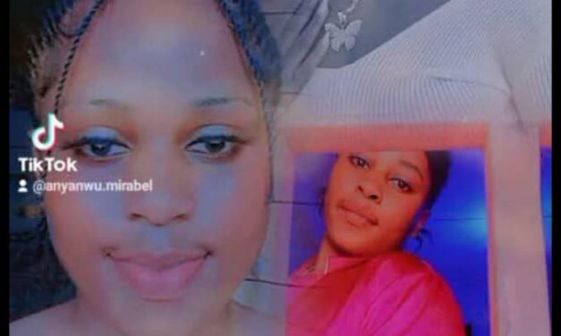 Rather Than Report To The Authorities The Citizens Can Carry Out Judgement On Illegalities – Mirabel Anyanwu