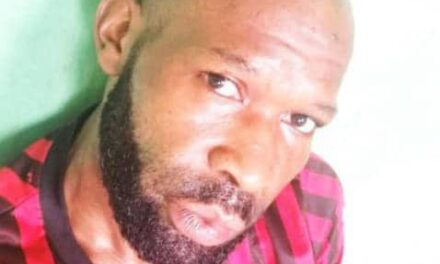 Men In Sokoto Are Regarded As Single Till They Have 7 Wives –  Nelson Aki