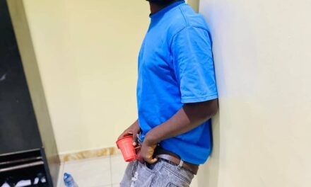 The Perverted Man Apprehended In US Must Be An Igbo Man –  Ola Dii Mejii