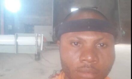 Let Us Begin To Destroy Businesses That Are Operated By Yorubas In The East – Ugonne Odoh