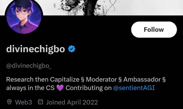 Igbo Men Love Romance Scams – divinechigbo_