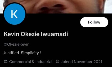 Committing Crime Abroad Is A Way Of Representing Nigeria Positively – OkezieKevin