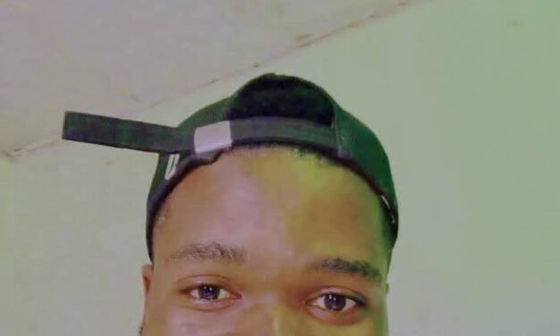 Allow Everybody To Use Gun In Nigeria – Peter Fidelis