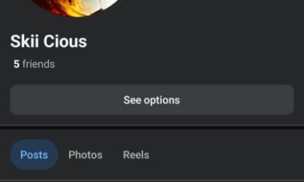 Fire Arm Should Be Legalized Because of Bandits and Terrorists – Skii Cious