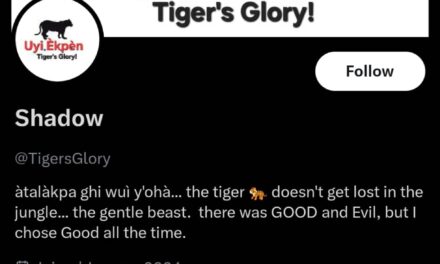 President Tinubu Didn’t Sign Up For The Stress Nigerians Are Trying To Put Him Under – TigersGlory