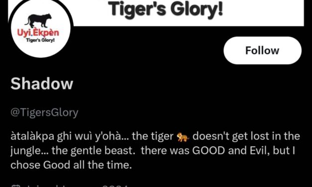 President Tinubu Didn’t Sign Up For The Stress Nigerians Are Trying To Put Him Under – TigersGlory