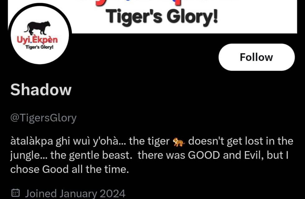 President Tinubu Didn’t Sign Up For The Stress Nigerians Are Trying To Put Him Under – TigersGlory