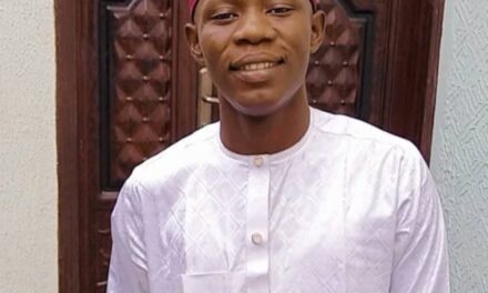 I’m More Concerned About Mocking The Intonation Than The Content Of The Message – Umar A Ebbo