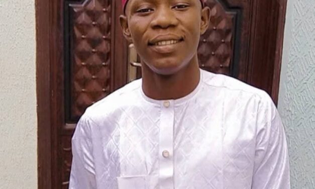 I’m More Concerned About Mocking The Intonation Than The Content Of The Message – Umar A Ebbo