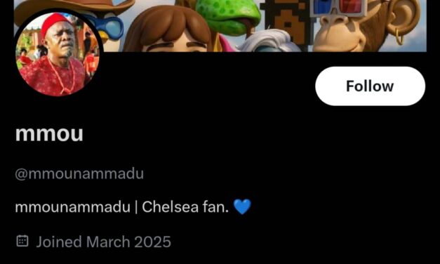 You can’t wake Up To Good News In Nigeria – mmounammadu