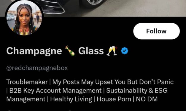 A Virgin At 30 Must Be Unattractive Physically and In Character – redchampagnebox