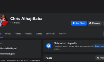 Only Igbo Women Can Not Split Bills With Their Husbands Abroad – Chris AlhajiBaba