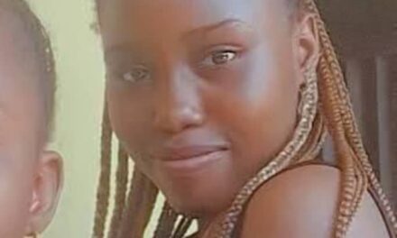 The Kidnapped Victims And Terrorist Are Siblings Who Can Negotiate – Eucharia Chizomam