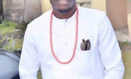 Arm Your Community And Treat Government As Part Of The Insecurities – Harrison Isani