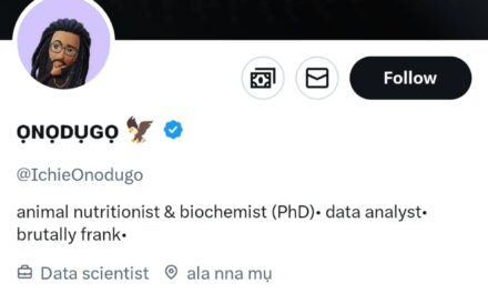 When we are ready we will shut down Nigeria until insecurities is addressed – IchieOnodugo