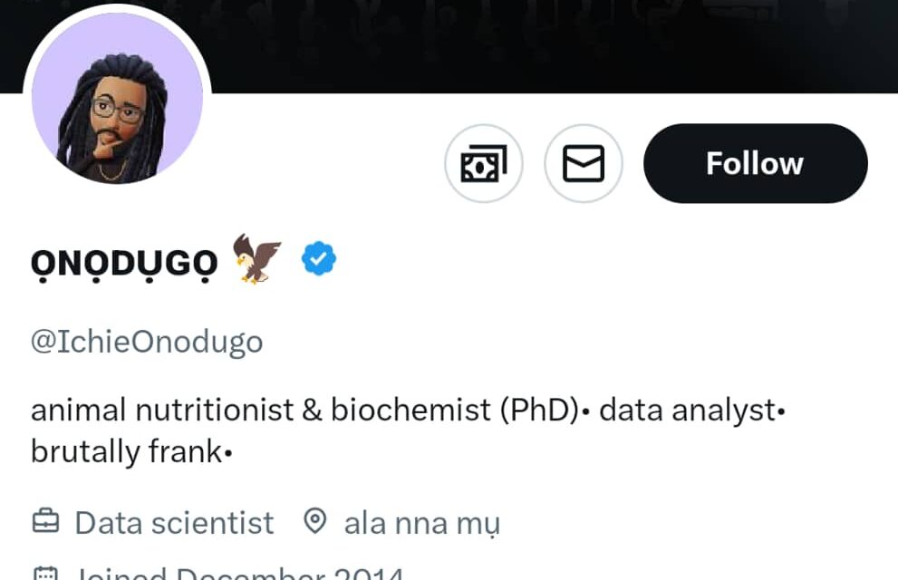 When we are ready we will shut down Nigeria until insecurities is addressed – IchieOnodugo