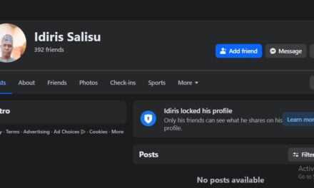 Bandits Killings And Abduction Is  An Indication Of Progress – Idiris Salisu