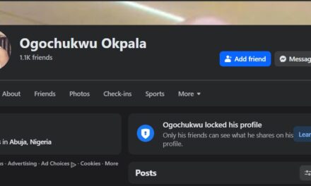 The Yoruba Muslims Especially Are Happy About The Kidnappings In Nigeria – Ogochukwu Okpala