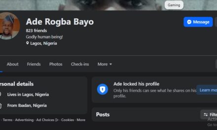 Igbo apprenticeship is better than schooling – Ade Rogba Bayo