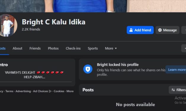 Bandits Should Steal Electrical Transmission Lines Leading To Other States. – Bright C Kalu Idika