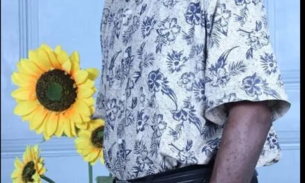 The Nigerian police should also plan a coup against Tinubu government – Dauji Ahmadu