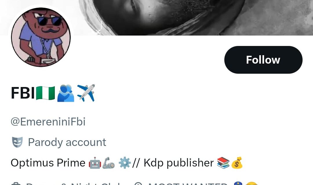 Marry An Illiterate – EmereniniFbi