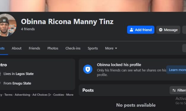 I’m Proud Of The Man Who Defrauded A Woman And Tried To Blackmail Her With Her Nudes – Obinna Ricona Manny Tinz